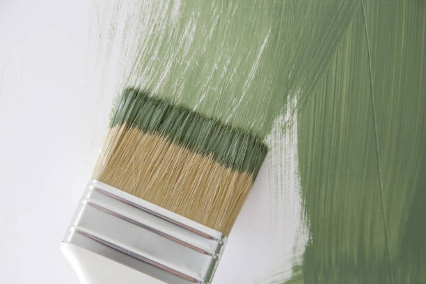 Best Mold Odor Removal Services  in Lomira, WI