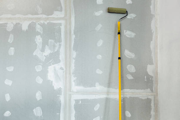 Mold Documentation for Insurance Claims in Lomira, WI