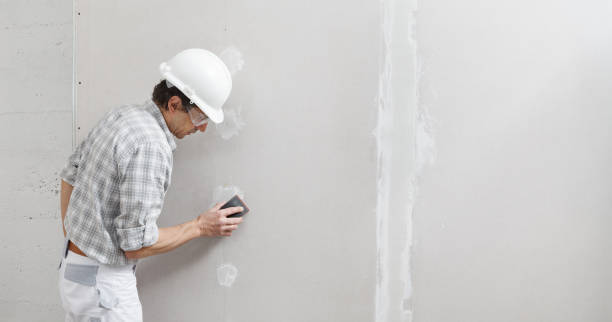 Best Crawl Space Mold Remediation  in Lomira, WI