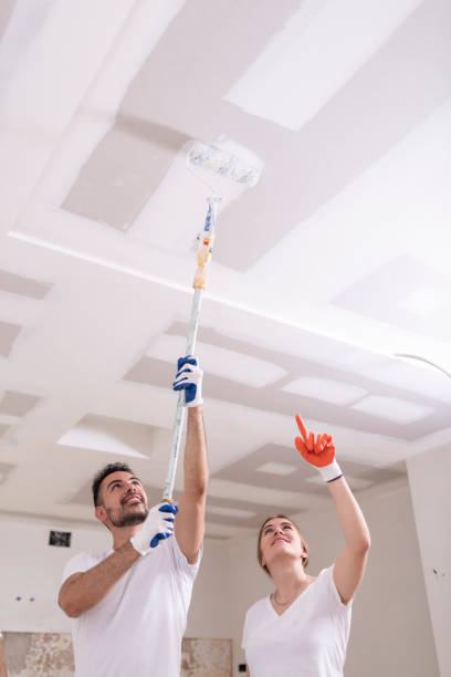  Lomira, WI Mold Removal Pros