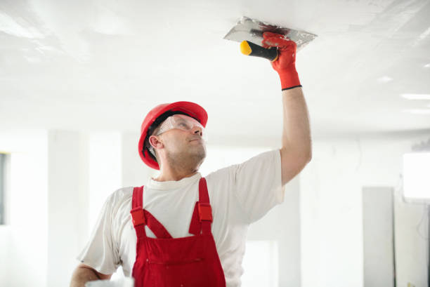 Best Commercial Mold Inspection  in Lomira, WI