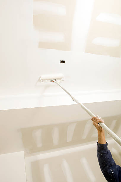 Best Attic Mold Removal  in Lomira, WI