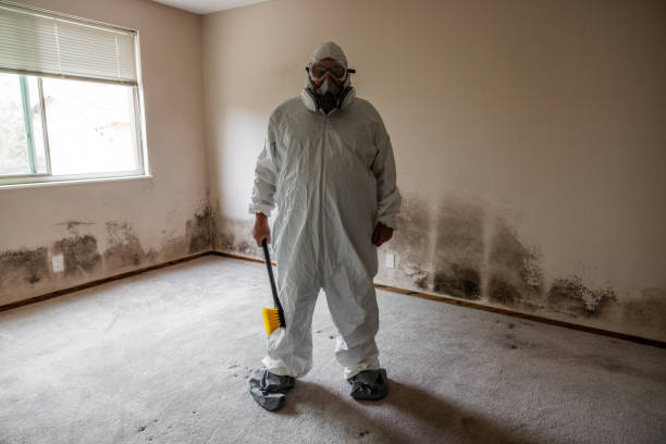 Best Post-Construction Mold Inspection  in Lomira, WI