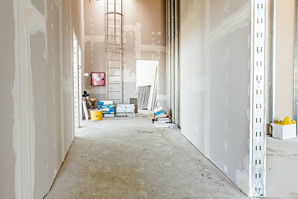 Mold Odor Removal Services in Lomira, WI
